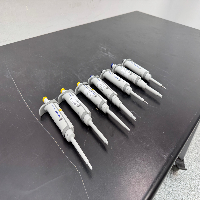 Eppendorf Single Chanel Pipettes - Quantity 6 image 0